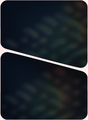 Flowers Bloom 1.1.2 植物花朵滕曼生长动画预设 + 使用教程