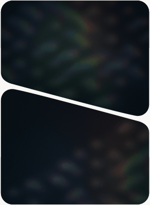 Flowers Bloom 1.1.2 植物花朵滕曼生长动画预设 + 使用教程