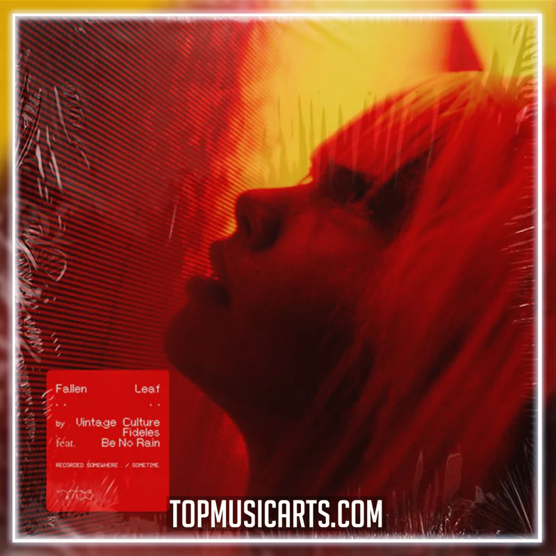 Fallen Leaf (Ableton Remake) Vintage Culture & Fideles feat Be No Rain